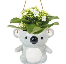 Plante suspendue à fleurs blanches dans un cache-pot koala