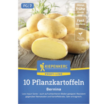 Kiepenkerl Pflanzkartoffeln Bernina, 10 Stück, mittelfrühe Ernte, festkochend, resistente Sorte