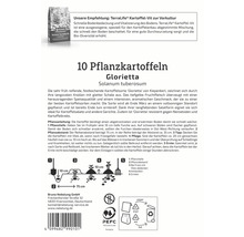 10 Saatkartoffeln der Sorte Glorietta, Solanum tuberosum