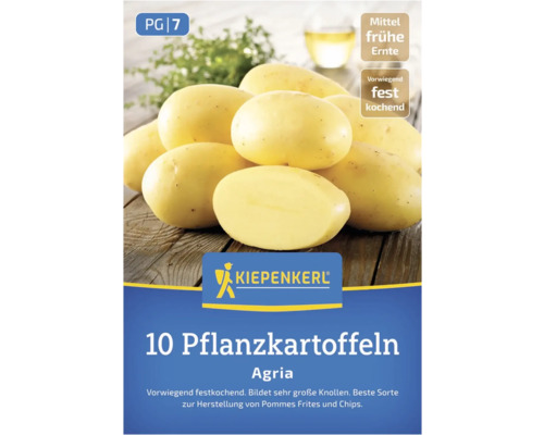 Paquet de 10 plants de pommes de terre Agria de Kiepenkerl