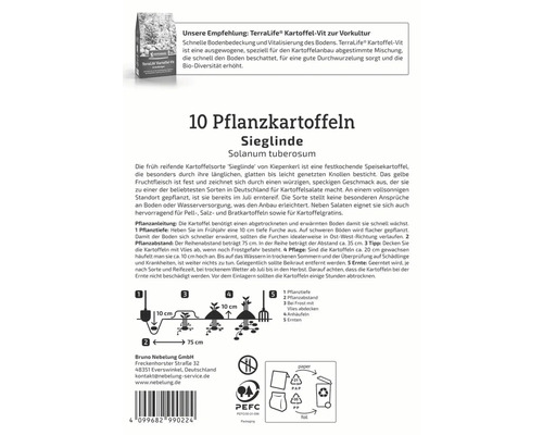 Packung Pflanzkartoffeln Sieglinde mit Pflanzanleitung