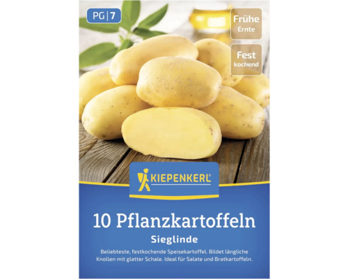 Kiepenkerl Saatkartoffeln Sieglinde, frühe Ernte, festkochend