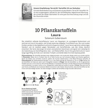 Informationen zu Laura Pflanzkartoffeln mit Pflanzanleitung