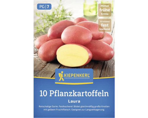 Kiepenkerl Laura Pflanzkartoffeln, rotschalige Sorte