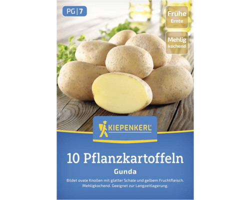 Verpackung mit zehn Saatkartoffeln der Sorte Gunda
