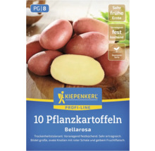 Kiepenkerl Profi-Line 10 Saatkartoffeln Bellarosa, frühe Ernte, vorwiegend festkochend und resistente Sorte