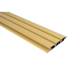 Panneau en plastique pour revêtement mural et de plafond