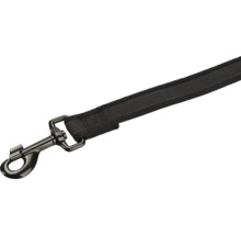 Laisse pour chien avec mousqueton