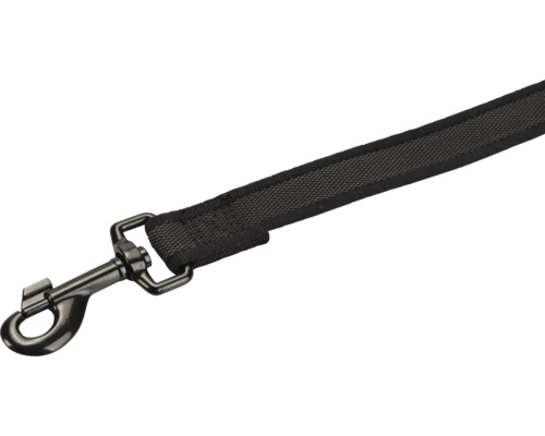 Laisse pour chien avec mousqueton