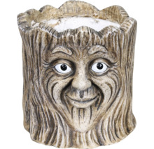 Pot de fleurs en fonte de pierre avec visage d'arbre