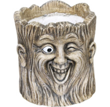 Pot de fleurs en forme de visage d'arbre avec une expression souriante