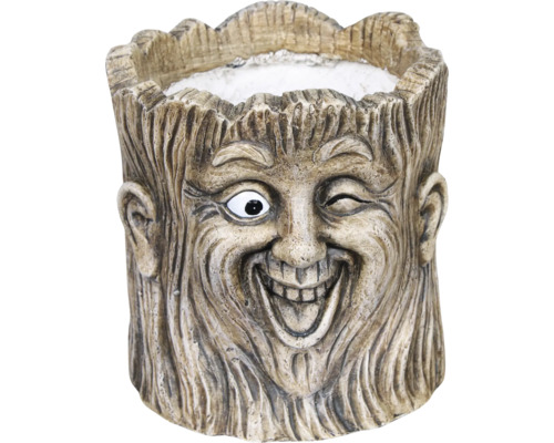 Pot de fleurs Rocky avec visage sur un tronc Ø 18 h 20 cm marron Pot de fleurs en forme de visage d'arbre avec une expression souriante