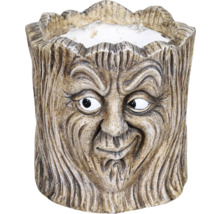 Pot de fleurs motif visage d'arbre