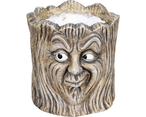 Pot de fleurs Spike avec visage sur un tronc Ø 18 h 20 cm marron Pot de fleurs motif visage d'arbre