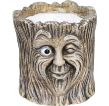 Pot de fleurs visage d'arbre en faïence