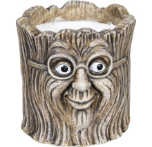 Pot de fleurs avec visage et lunettes en pierre artificielle