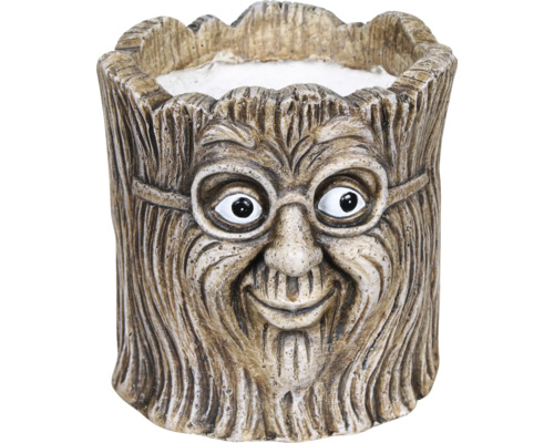 Pot de fleurs Erik avec visage sur un tronc Ø 18 h 20 cm marron Pot de fleurs avec visage et lunettes en pierre artificielle