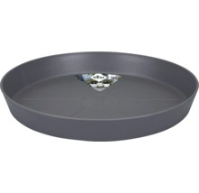 Soucoupe pour plantes en plastique