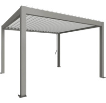 Pergola avec toit à lamelles et cadre