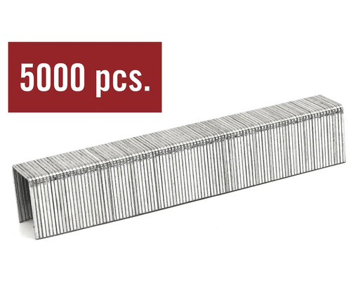 Paquet de 5000 agrafes