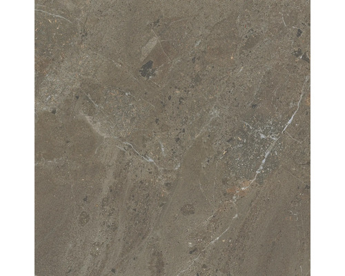 Keramikfliese mit Marmoroptik