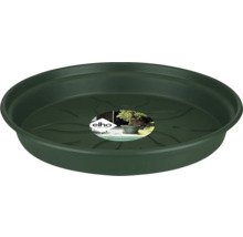 Soucoupe pour pots de fleurs en plastique