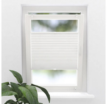 Fenêtre avec store plissé blanc et plante d'intérieur