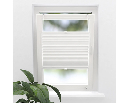 Fenêtre avec store plissé blanc et plante d'intérieur