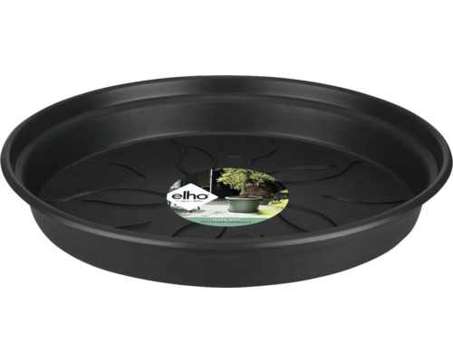 Soucoupe Elho GreenBasics Ø34 cm, noir Soucoupe pour plantes en plastique
