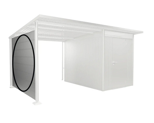 Paroi latérale Biohort Avantgarde A3, A7 238 x 182 cm argent Élément mural pour abri de jardin