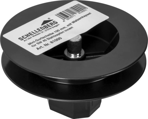 Mini-poulie de sangle 100 millimètres avec capsule à rouleaux pour tourillons en acier SW 40