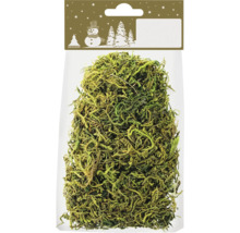 Mousse décorative en paquet