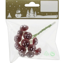 Amanites tue-mouches décoratives en sachet