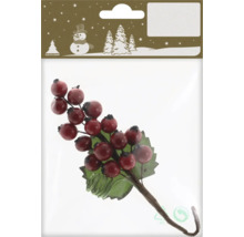 Imitation décorative de baies avec feuilles dans emballage