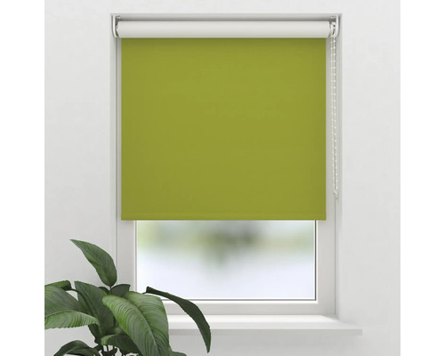 Store occultant Soluna V20 vert 95x190 cm avec support à clipser Store enrouleur de fenêtre vert pour le contrôle de la lumière et la décoration