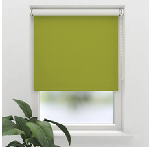 Store enrouleur de fenêtre verte dans la fenêtre