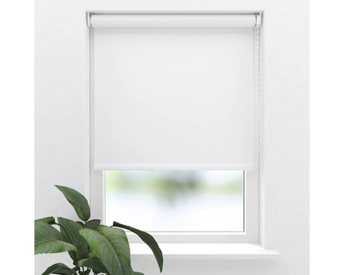 Weisses Rollo am Fenster mit seitlichem Kettenzug