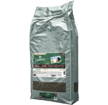 Christopherus Trockenfutter für ältere Hunde, getreidefrei, 12 kg