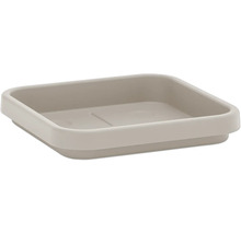 Seifenschale aus Kunststoff