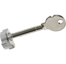 Clé pour noyau de valve
