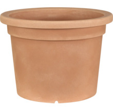 Pot de fleurs en terre cuite