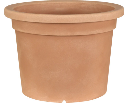 Pot de fleurs en terre cuite