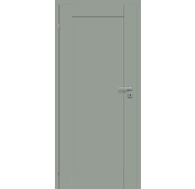 Porte intérieure grise avec ferrures