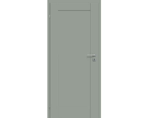 Graue Innentür mit Beschlägen