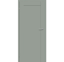 Porte intérieure grise avec poignée de porte