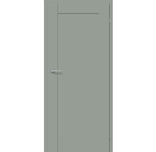 Graue Innentür mit Türgriff