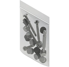 Schrauben und Bit in durchsichtiger Verpackung