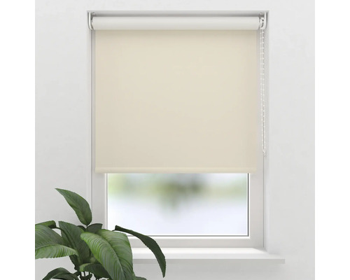 Fenêtre avec store enrouleur beige pour le contrôle de la lumière