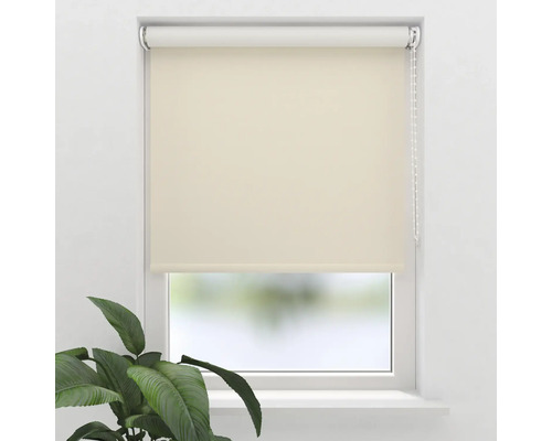 Fenêtre avec store enrouleur beige et plante