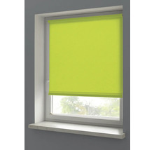 Grüne Rollo am Fenster zur Lichtsteuerung und Privatsphäre.